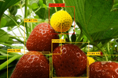 Agricultură